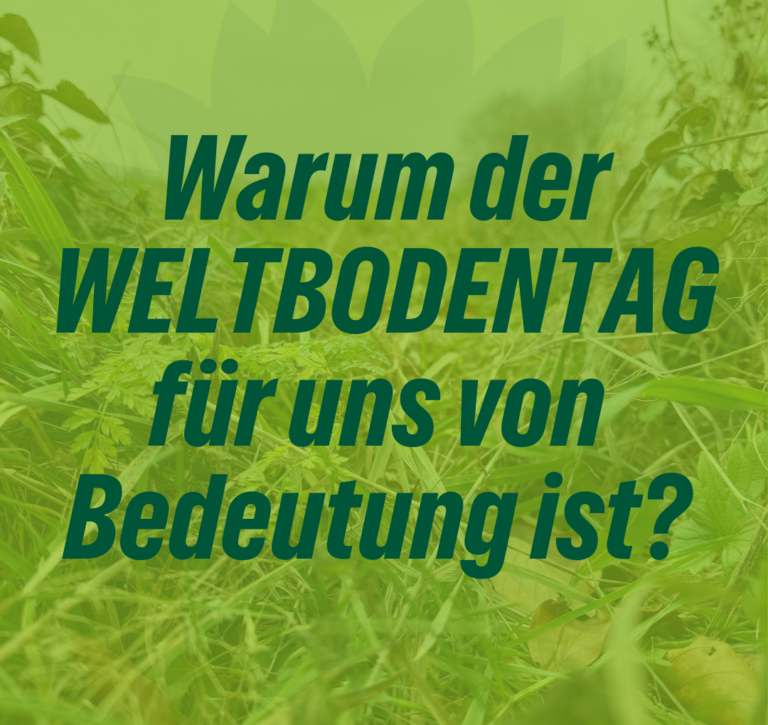 Weltbodentag: Warum der Schutz unserer Böden für unsere Gemeinde entscheidend ist