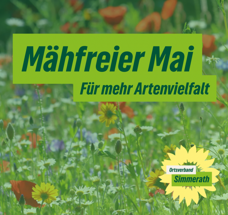 Mähfreier Mai – Für mehr Artenvielfalt
